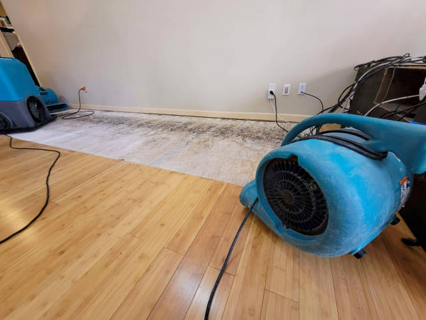 Professional Water Damage Repair technician working in Leavittsburg, OH